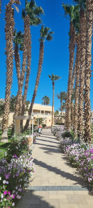Gartenanlage Beach Albatros Resort