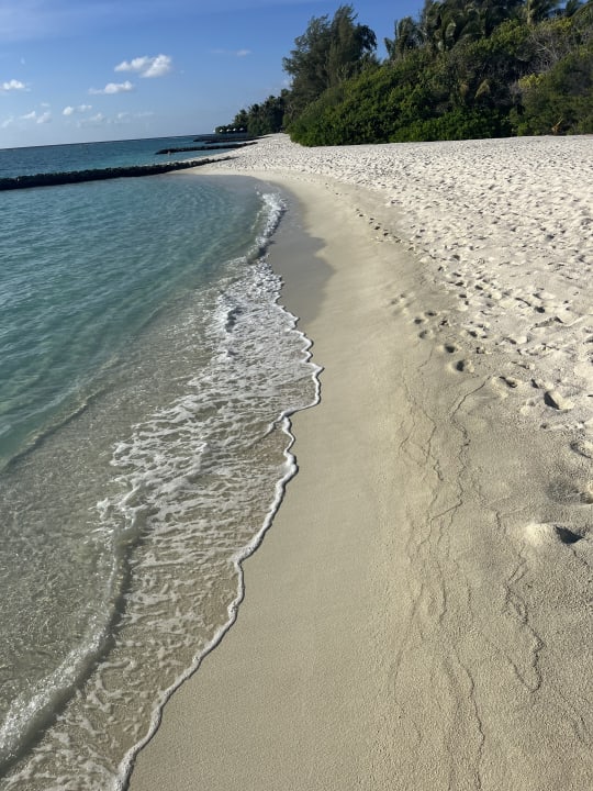 Strand Summer Island Maldives