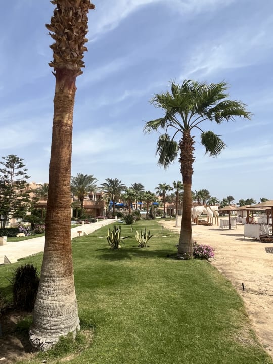 Gartenanlage Shams Prestige Abu Soma-Adults Only