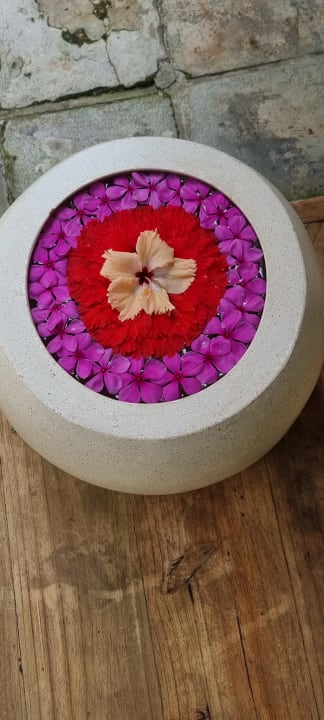 Gartenanlage NH Collection Maldives Reethi Resort