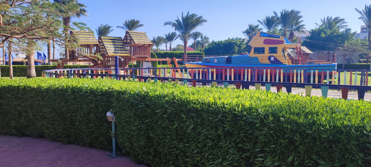 Sport & Freizeit Desert Rose