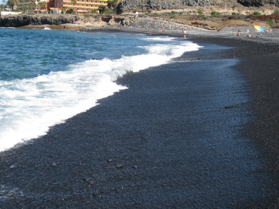 11 HOVIMA Jardin Caleta