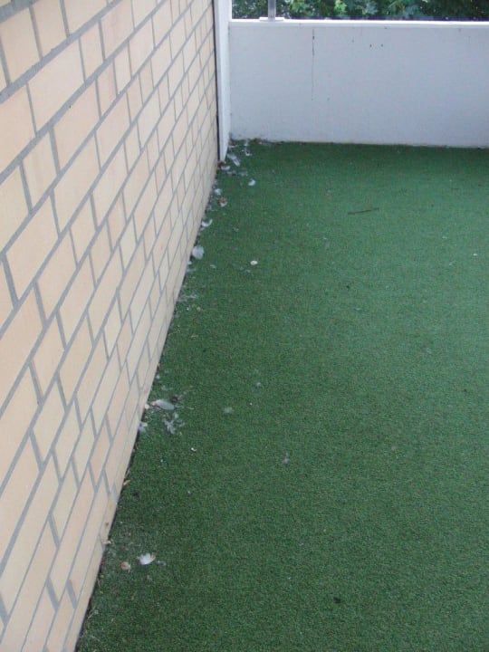 Der Laubengang zur Wohnung Ferienwohnungen Ferienpark Weissenhäuser Strand