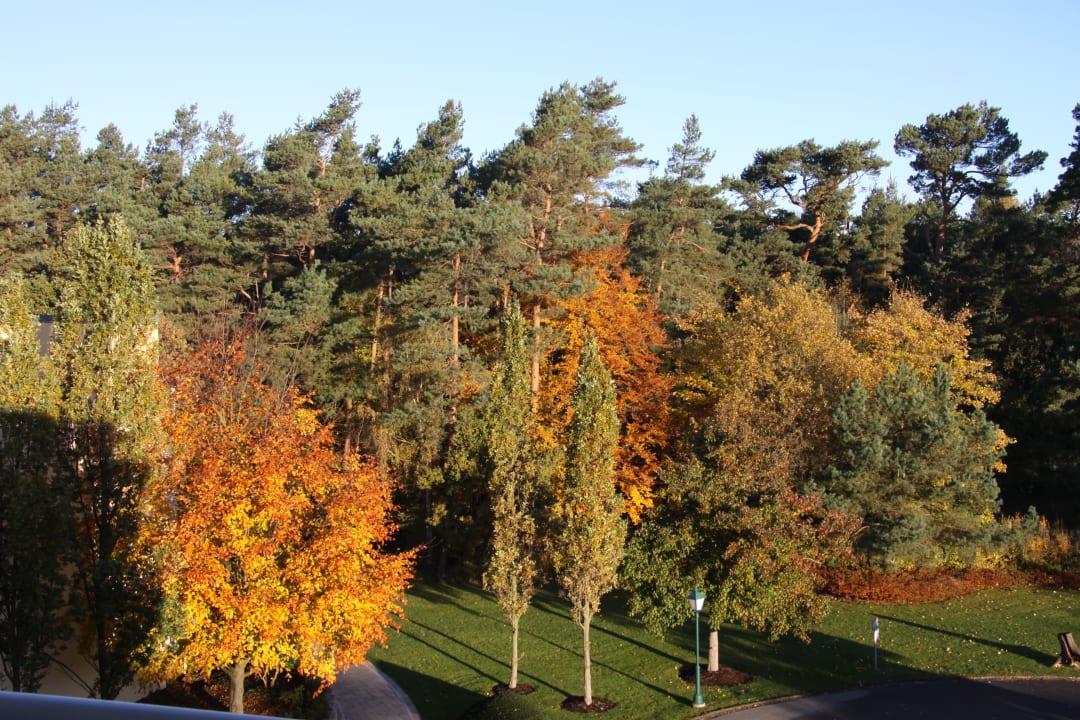 Ausblick Hotel Bernstein Prerow