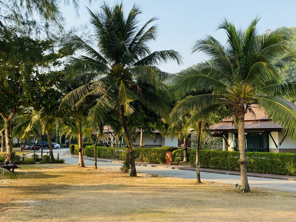 Gartenanlage Hotel Klong Prao Resort