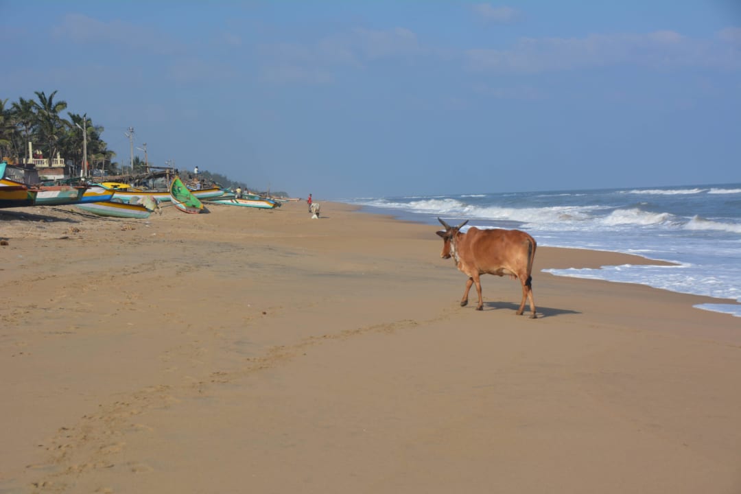 Blick zum Fischerdorf Hotel Ideal Beach Resort