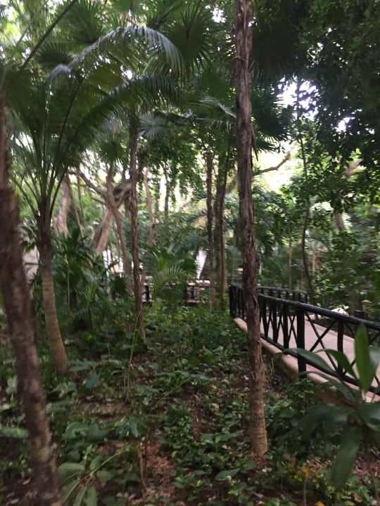 Außenansicht The Reef Playacar