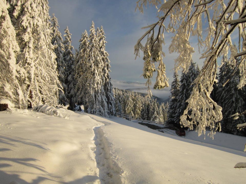 Ausblick Tonnerhütte