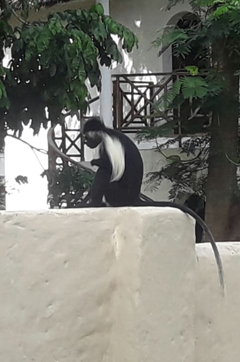 Sonstiges Neptune Village Beach Resort & Spa