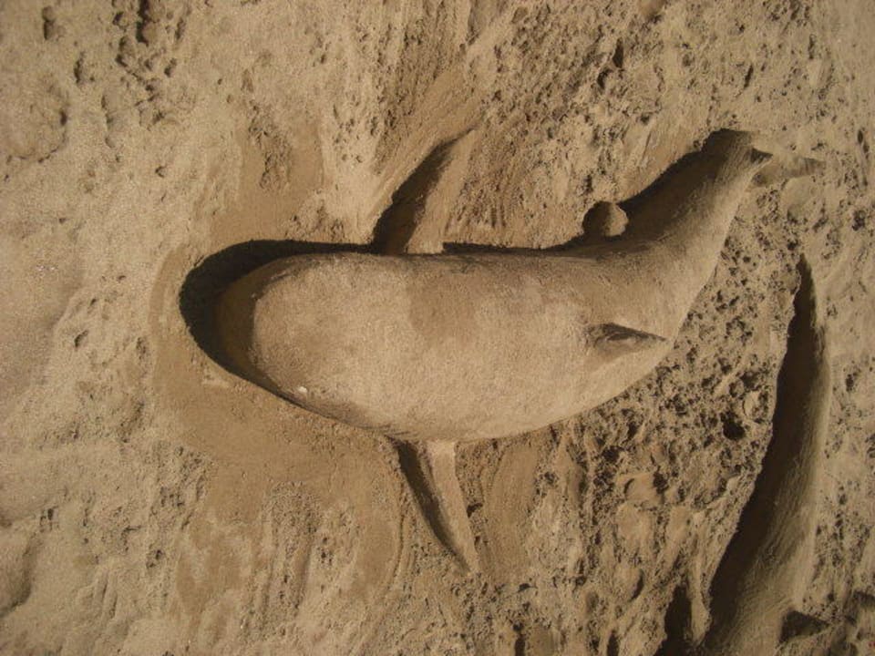 Sand-Hai Hotel Royal Dragon