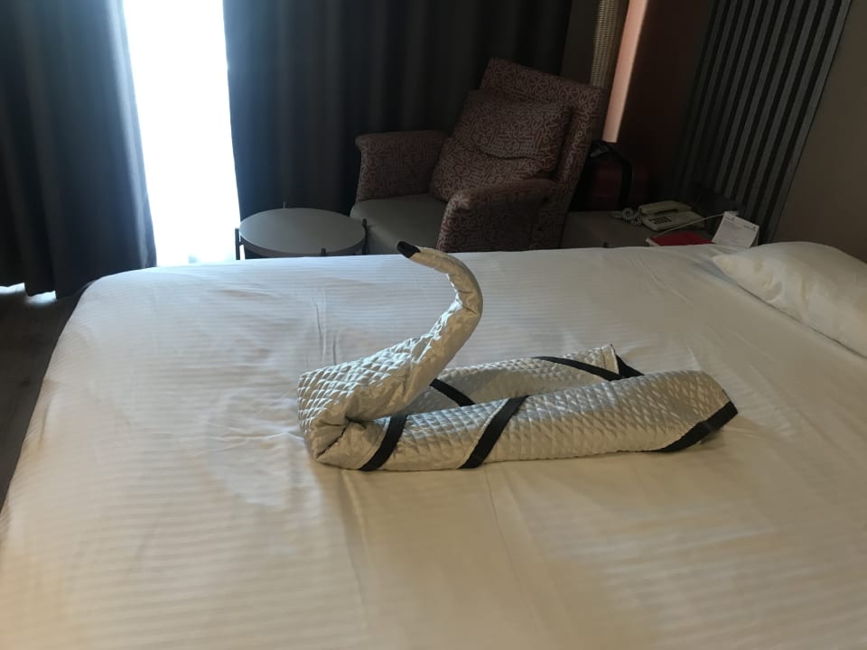 Zimmer Arycanda Kirman Premium