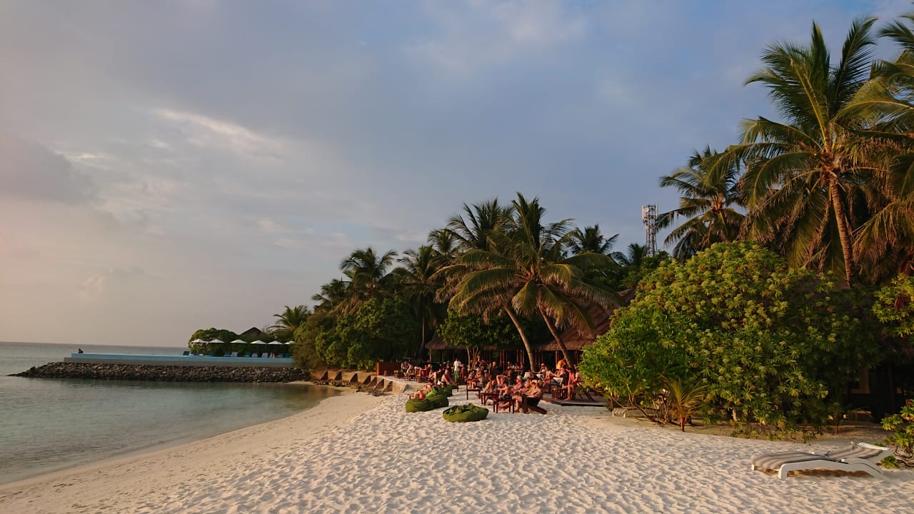 Gastro Summer Island Maldives