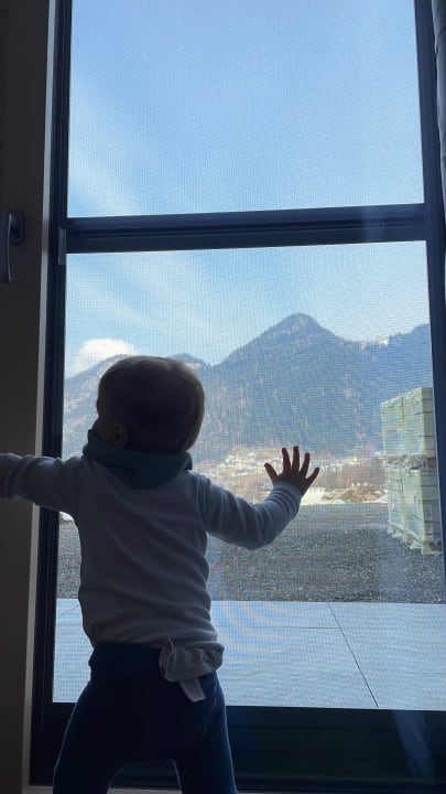 Ausblick Lodge Schönfeld