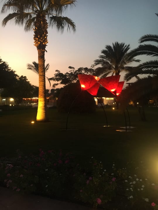 Außenansicht Desert Rose