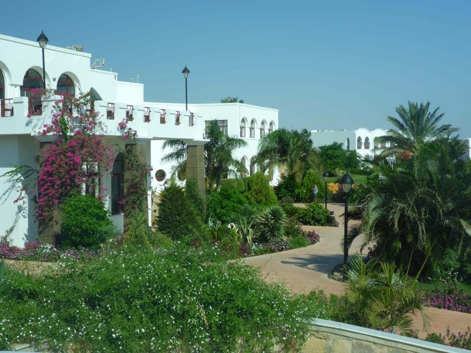 Außenansicht Hotel Gorgonia Beach Resort