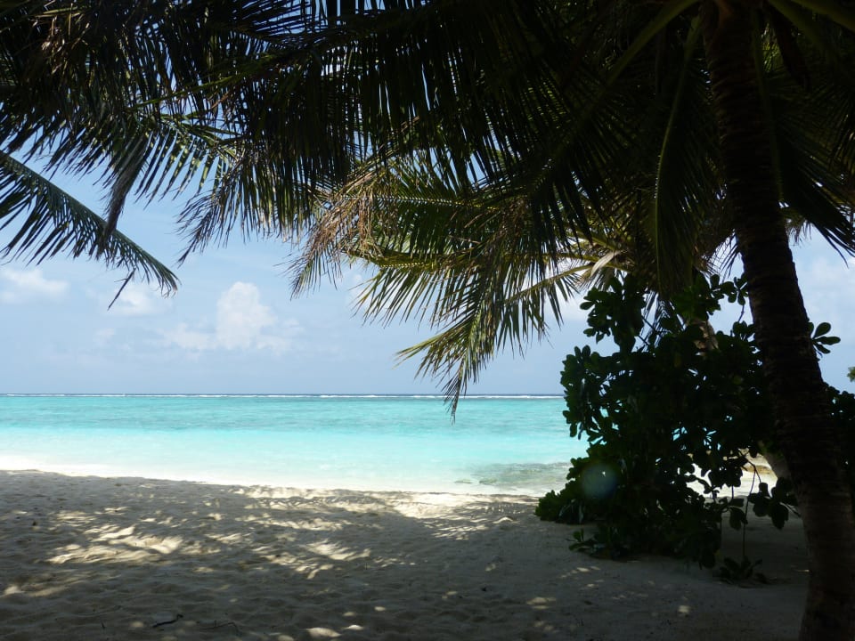 Superiorbungalow 233 Summer Island Maldives