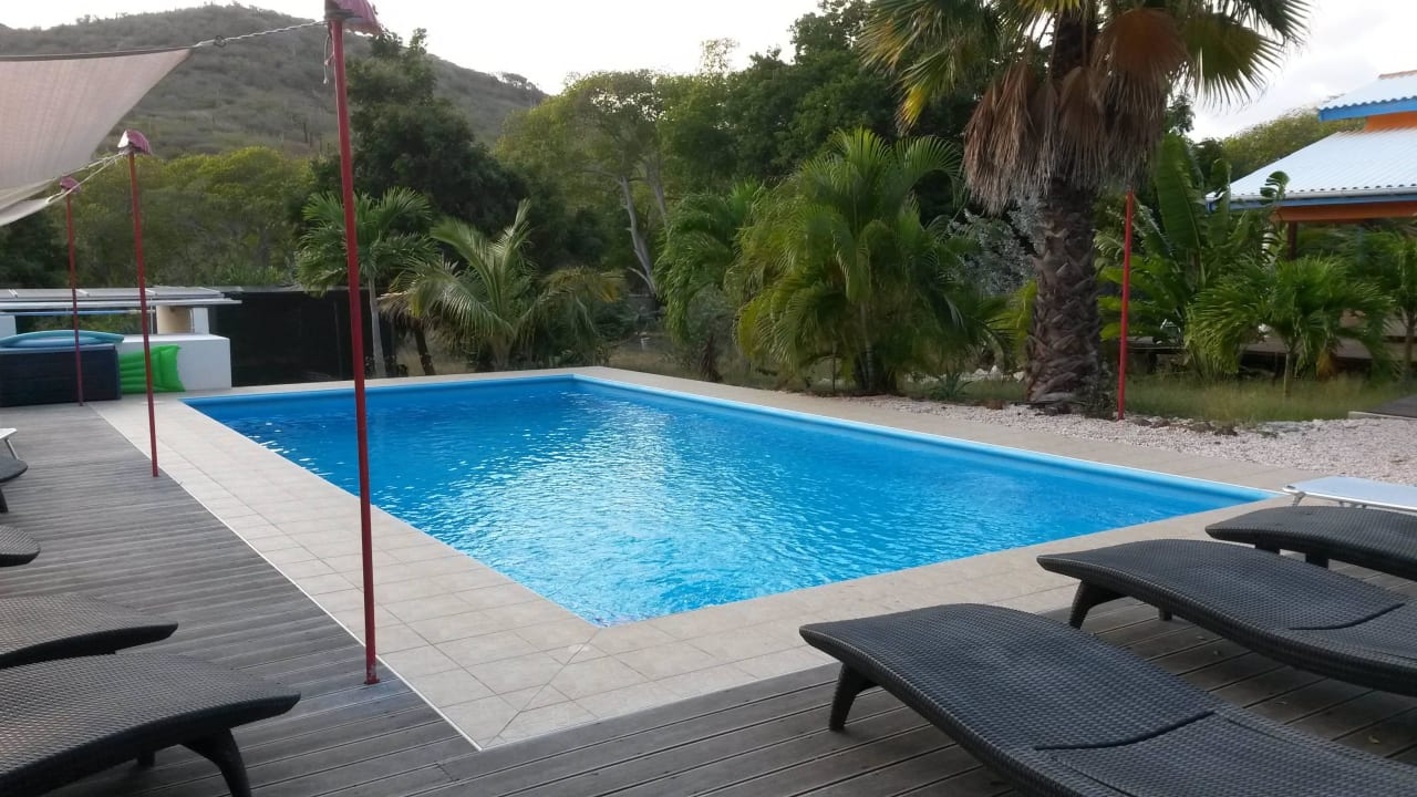 Pool und Teil des Gartens Don Genaro Apartments