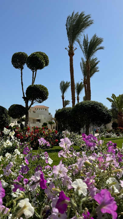 Gartenanlage Pickalbatros Dana Beach Resort - Hurghada