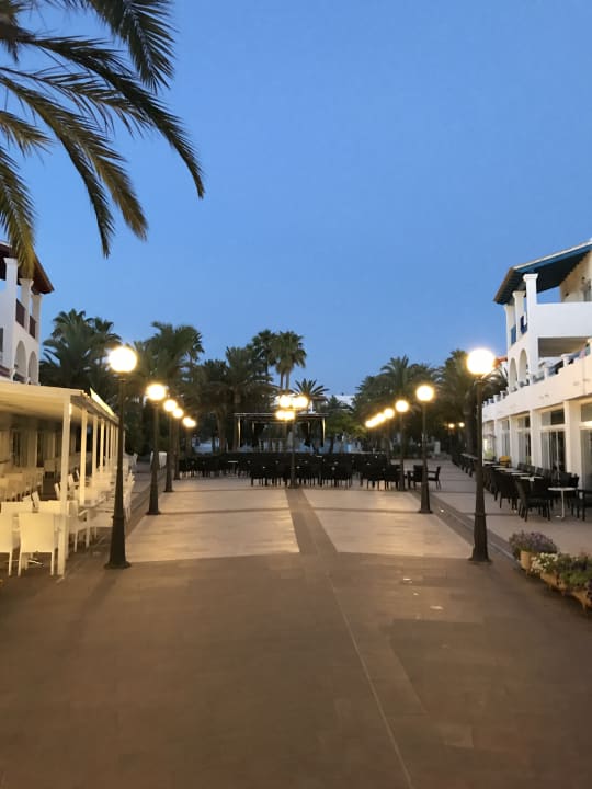 Zimmer Calimera Fido Gardens