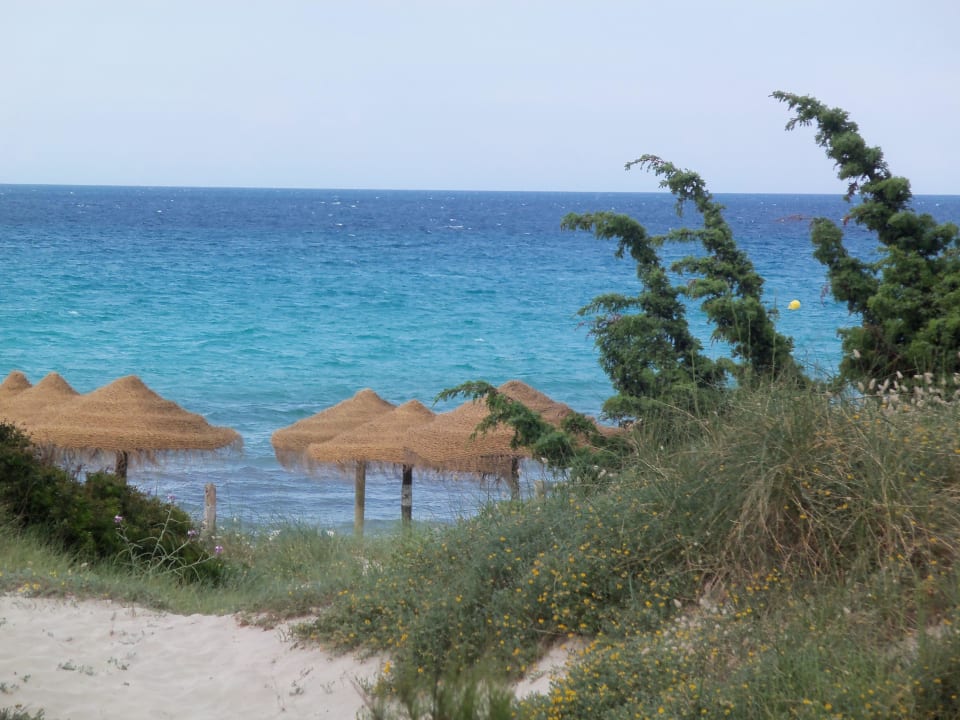 Blick vom Kinderspielplatz auf das Meer Zafiro Bahia