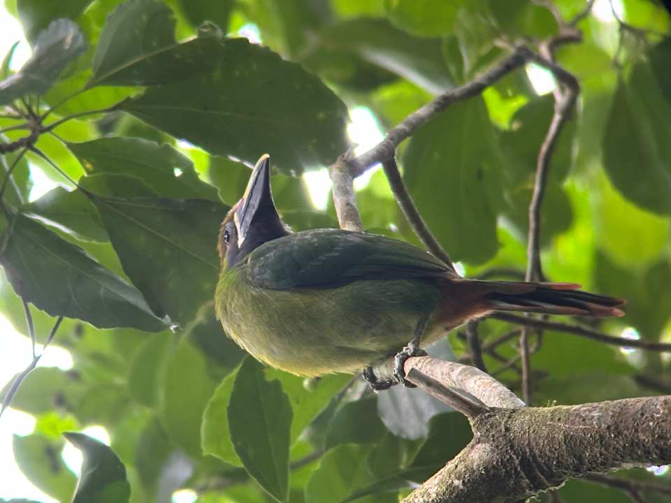 Sonstiges Hotel El Establo