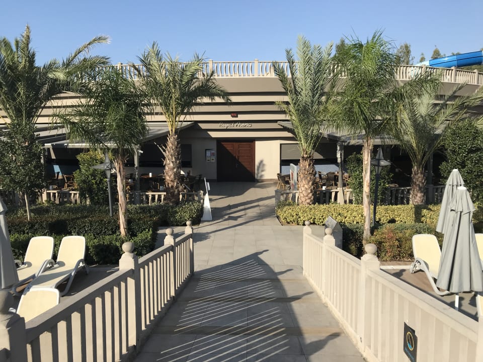 Sonstiges Royal Seginus