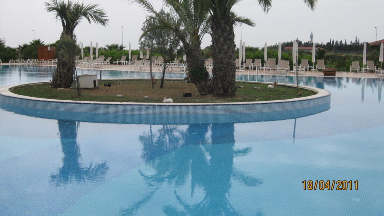 Mitten im Pool eine Inseln mit kleinen Hasen  Seaden Sea World Resort & Spa