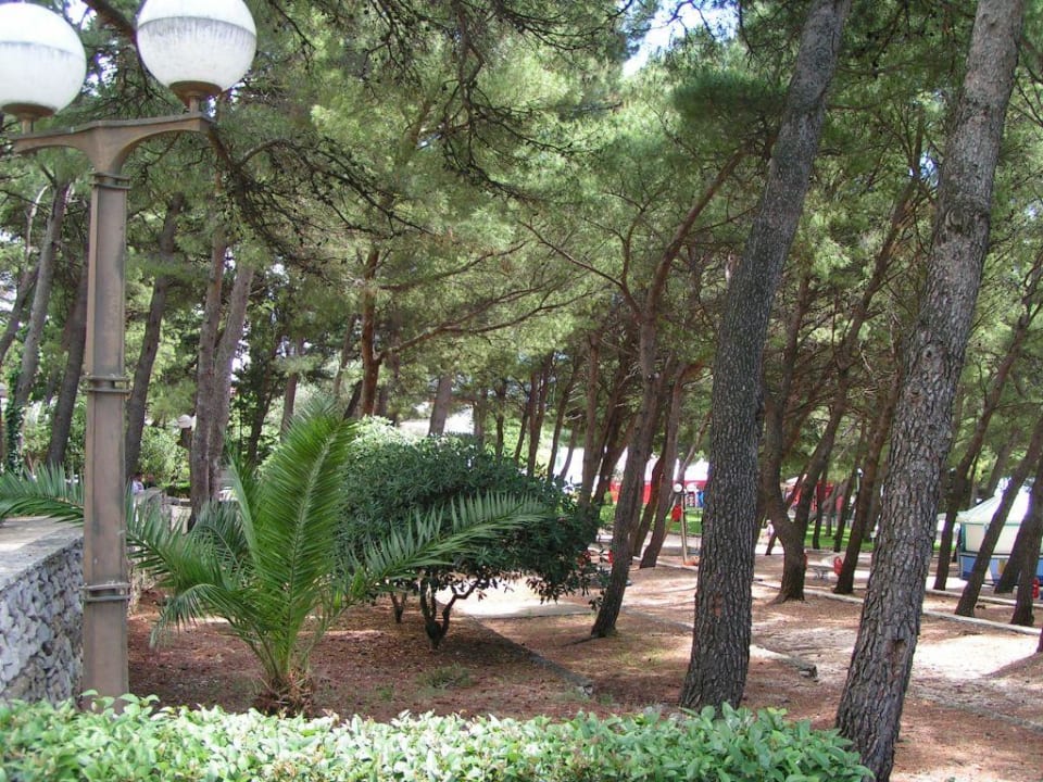 Außenanlage Hotel Biokovka