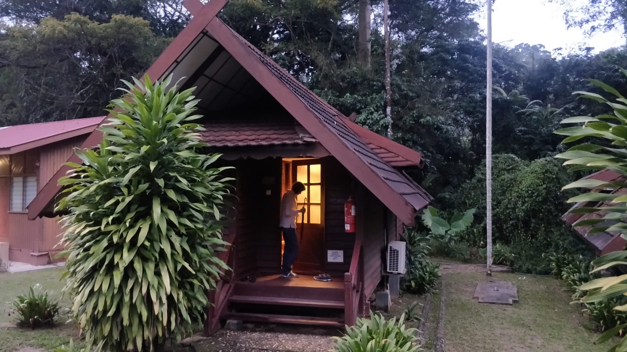 Zimmer Hotel Mutiara Taman Negara Resort