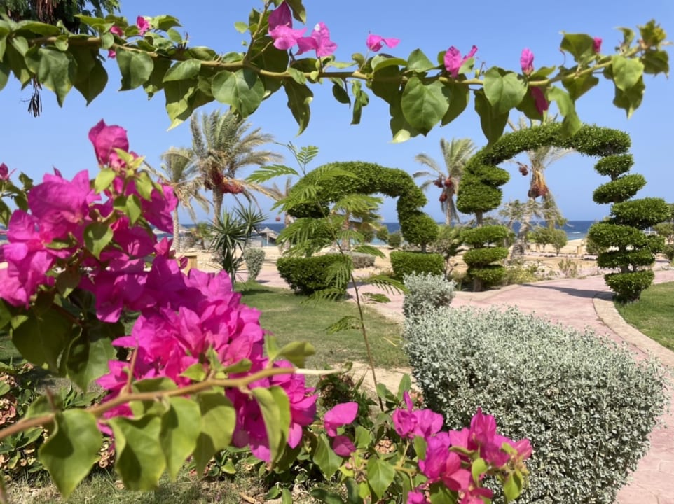 Gartenanlage Wadi Lahmy Azur Resort