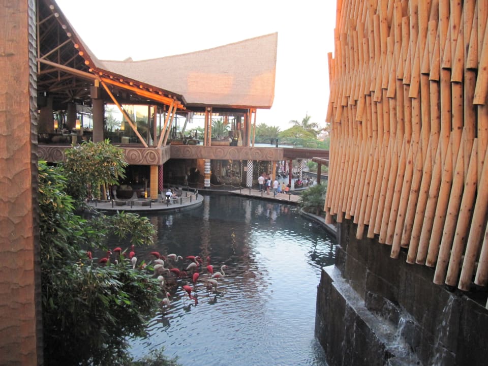 Blick Lopesan Baobab Resort