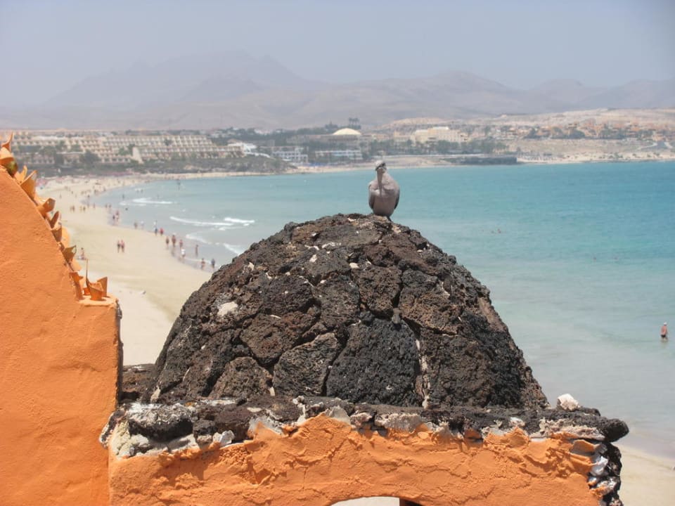 Aussenbereich H10 Tindaya