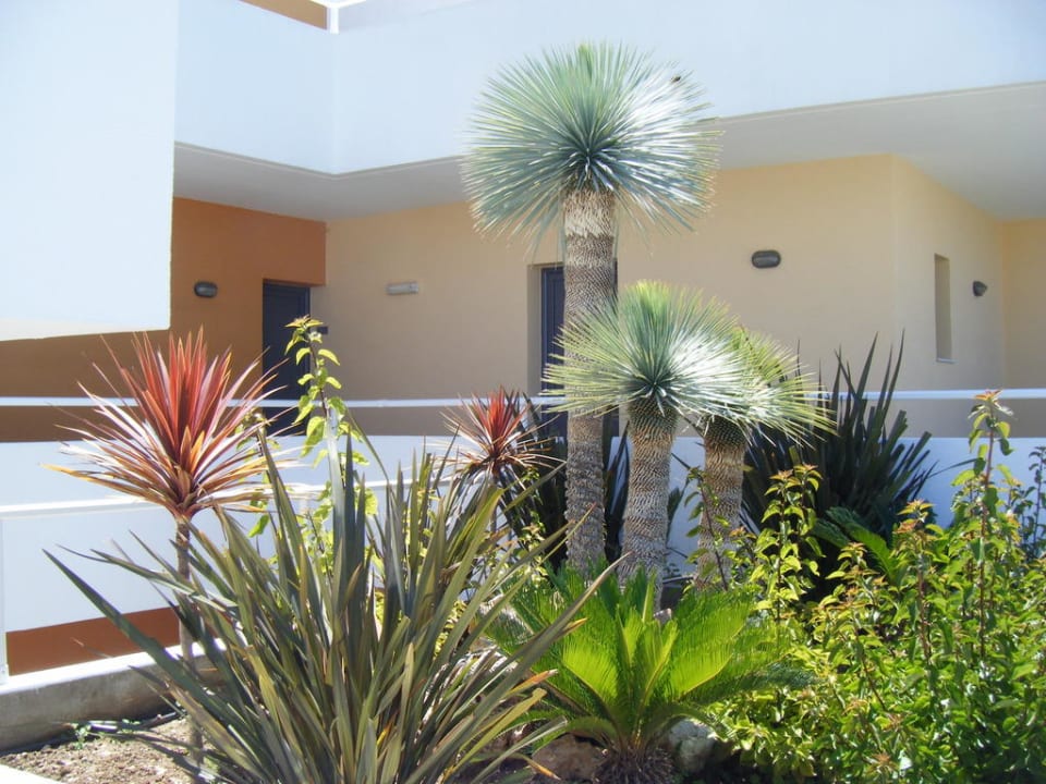 Zugang zu den Zimmern Atlantica Mikri Poli Rhodes