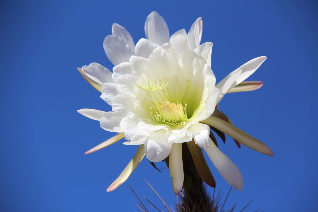 Sonstiges Hotel Grand Teguise Playa