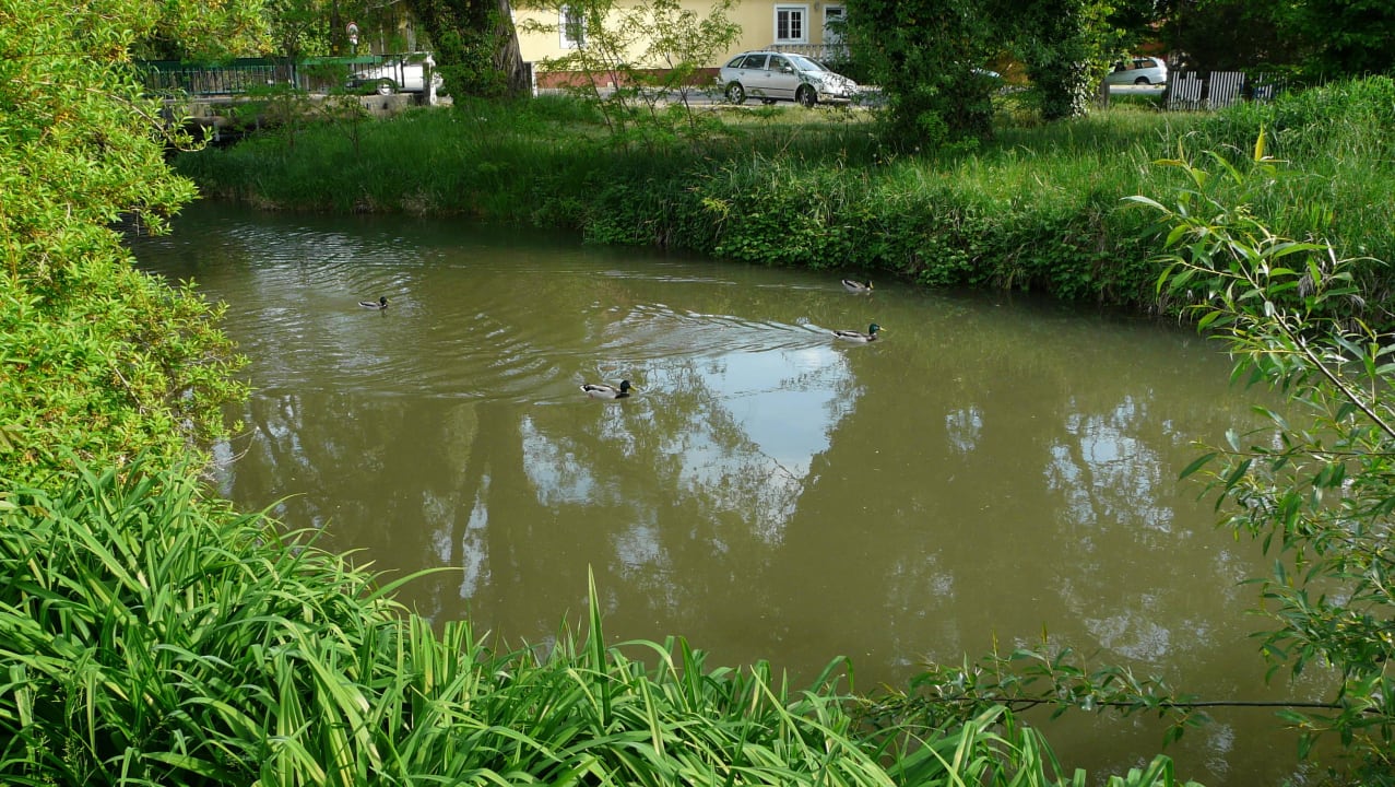 Garten Suri Bau Apartments