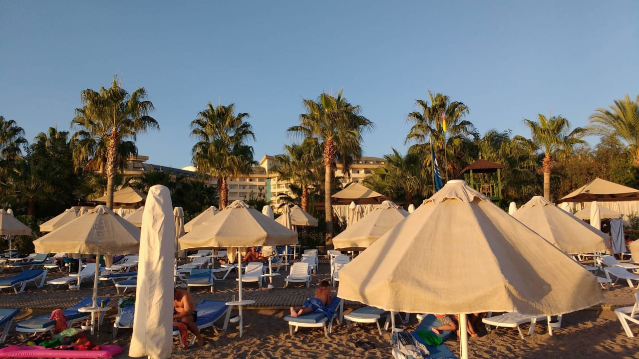 Frei verwendung der Schirme. Saphir Resort & Spa