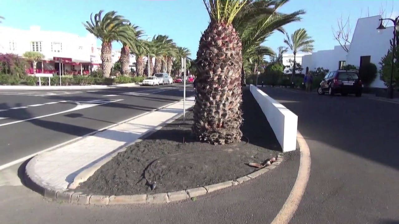 Eingangsbereich allsun App.-Hotel Albatros