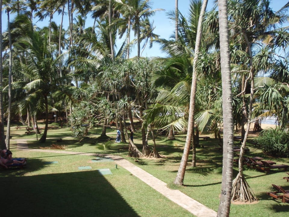 Ausblick vom Zimmer 313 Mermaid Hotel & Club