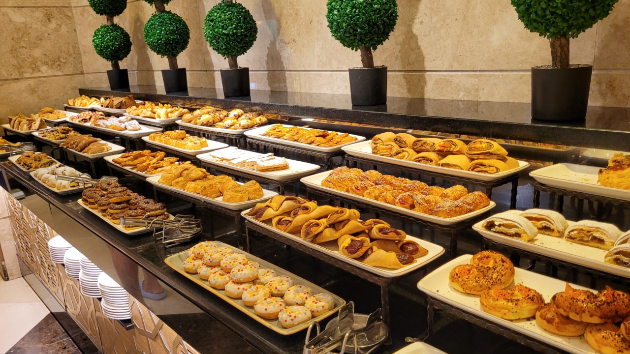 Gastro Papillon Ayscha