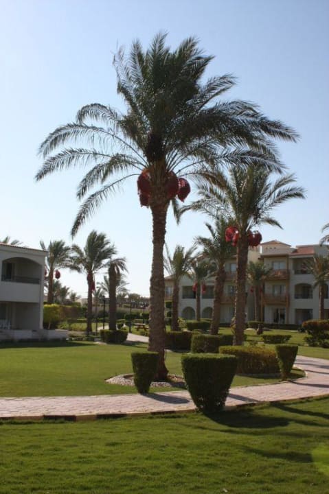 Anlage Pickalbatros Dana Beach Resort - Hurghada