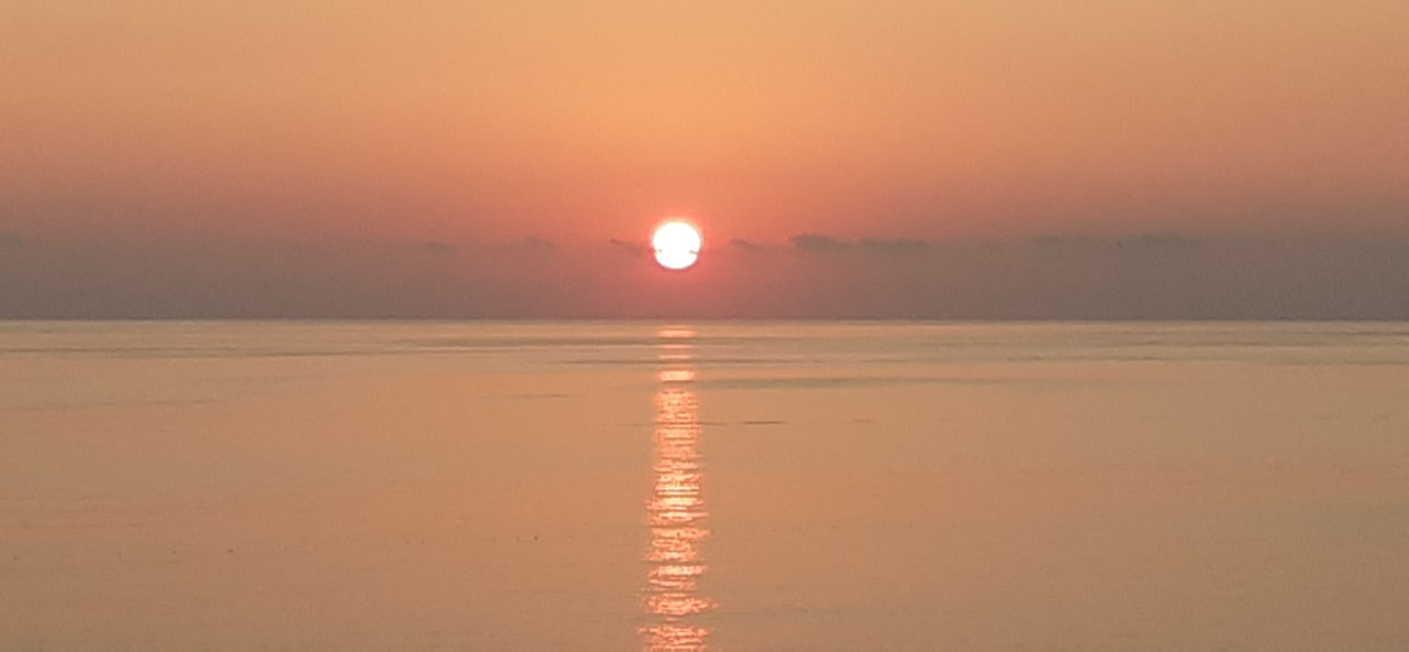 Ausblick Kleopatra Life Hotel