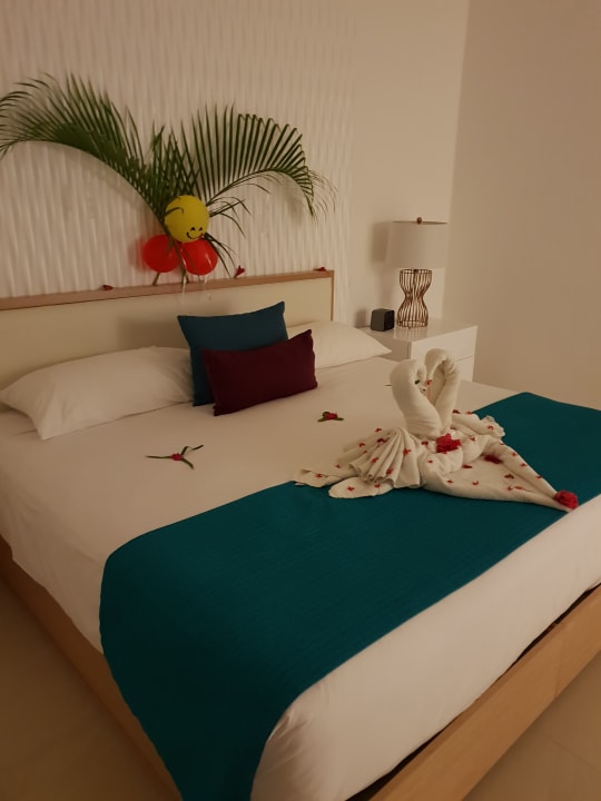 Zimmer Wyndham Alltra Samana