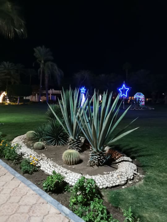 Gartenanlage Shams Safaga Resort