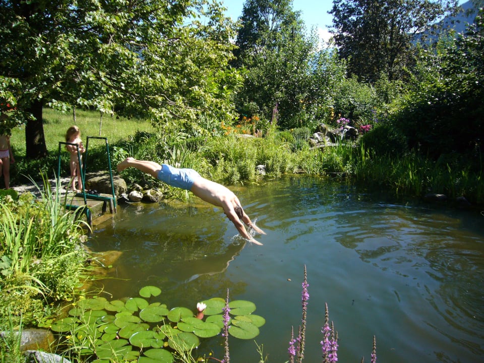 Natuurlijk aangelegde vijver Ferienhaus Mandl Pool Sauna bei Zell am See