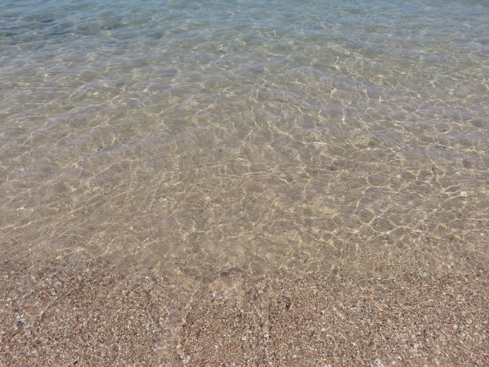 Klasglares, warmes Wasser Iberotel Makadi Beach