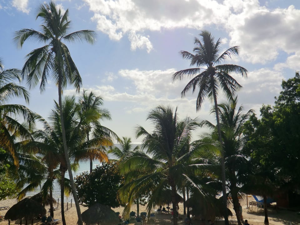 Ausblick vom Zimmer Hotel Viva Dominicus Palace by Wyndham-All Inclusive Resort