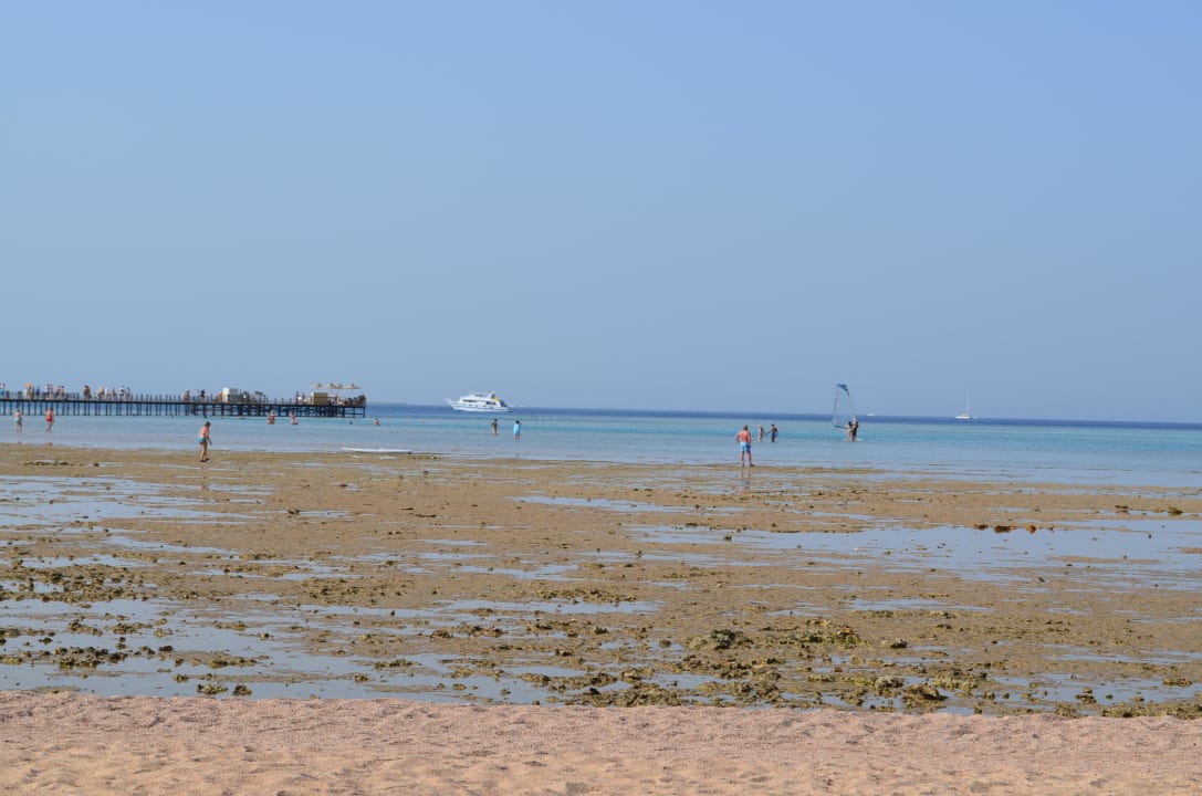 Strand bei Ebbe Stella Beach Resort & Spa Makadi Bay