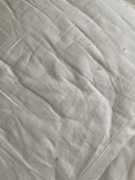 Zimmer TUI BLUE Medulin