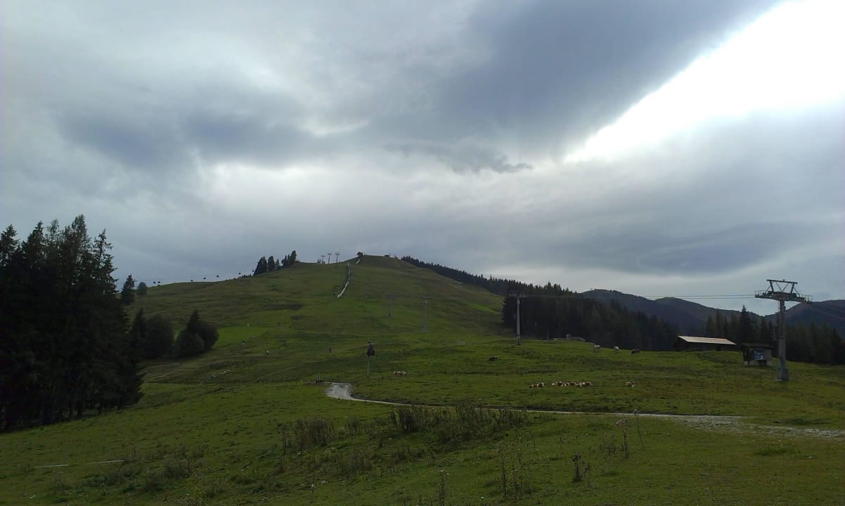 Es zieht was auf Holzhotel Forsthofalm
