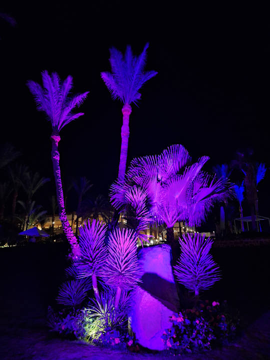 Gartenanlage Steigenberger Coraya Beach - Adults only